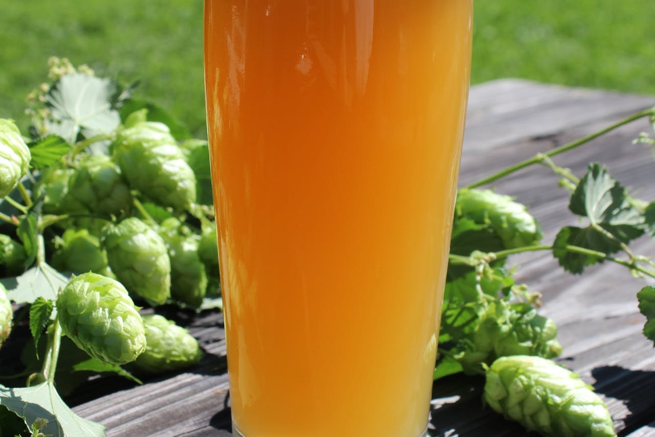 A hop-forward beer surrounded by fresh hops and berries illustrating ale ingredients